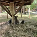 Park Sosto Nyíregyháza