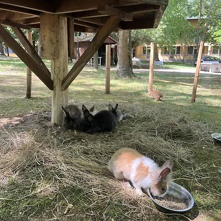 Отель Park Sosto
