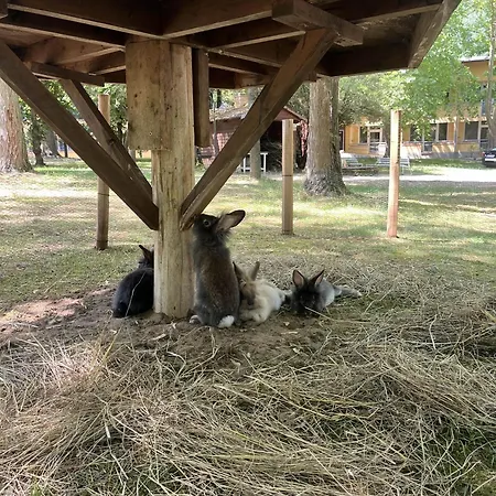 Park Sosto Nyíregyháza