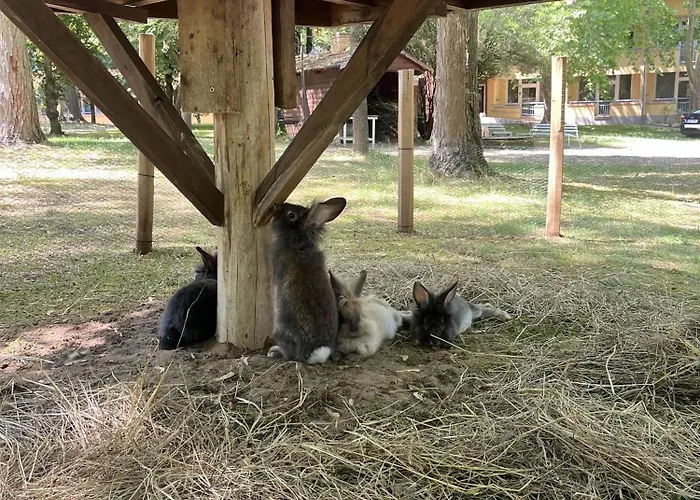 Park Sosto Nyíregyháza